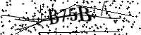 Por favor digite as letras e números abaixo