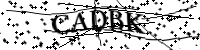 Por favor digite as letras e números abaixo