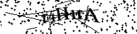 Por favor digite as letras e números abaixo