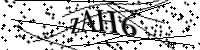 Por favor digite as letras e números abaixo