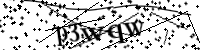 Por favor digite as letras e números abaixo