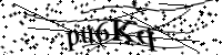 Por favor digite as letras e números abaixo
