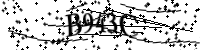 Por favor digite as letras e números abaixo