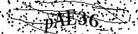 Por favor digite as letras e números abaixo