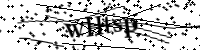 Por favor digite as letras e números abaixo