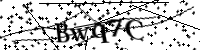 Por favor digite as letras e números abaixo