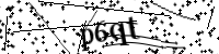Por favor digite as letras e números abaixo