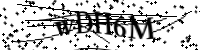 Por favor digite as letras e números abaixo