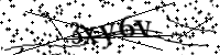 Por favor digite as letras e números abaixo