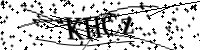 Por favor digite as letras e números abaixo