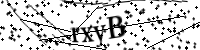 Por favor digite as letras e números abaixo