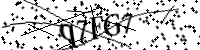 Por favor digite as letras e números abaixo