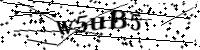 Por favor digite as letras e números abaixo