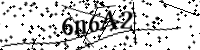 Por favor digite as letras e números abaixo
