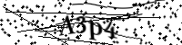 Por favor digite as letras e números abaixo