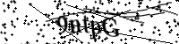 Por favor digite as letras e números abaixo