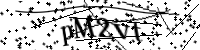Por favor digite as letras e números abaixo