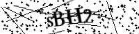 Por favor digite as letras e números abaixo