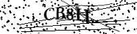 Por favor digite as letras e números abaixo