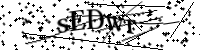 Por favor digite as letras e números abaixo