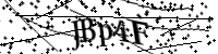 Por favor digite as letras e números abaixo